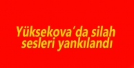 Yüksekova'da Silah Sesleri