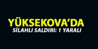 Yüksekova’da Silahlı Saldırı: 1 Yaralı 