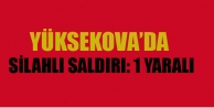 Yüksekova'da Silahlı Saldırı