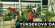 Yüksekova'da yeşillendirme çalışmaları başladı