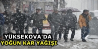 Yüksekova'da yoğun kar yağışı