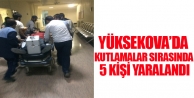 Yüksekova'daki kutlamalarda 5 kişi yaralandı