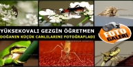 Yüksekovalı Gezgin Öğretmen Doğanın Küçük...