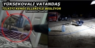 Yüksekovalı Yılmaz Tilkiyi Kendi Elleriyle Besliyor