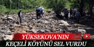 Yüksekova'nın Keçeli Köyünü sel vurdu