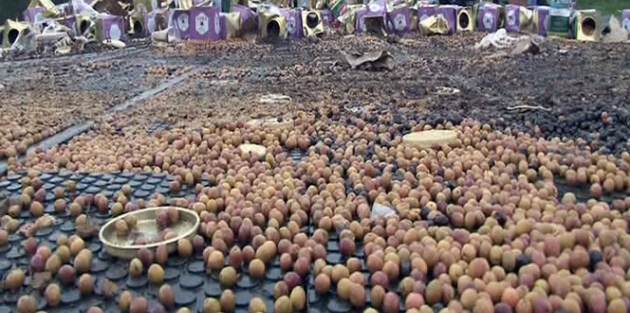 Tren zeytin yüklü TIR'a çarptı: 1 ölü