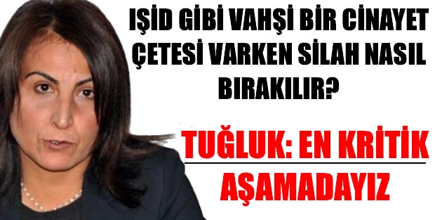 Tuğluk: En kritik aşamadayız