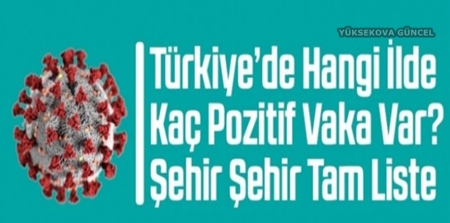 Türkiye'de İl İl Kaç Vaka Var?