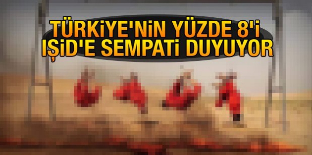 Türkiye'de IŞİD'e sempati duyanların oranı yüzde 8