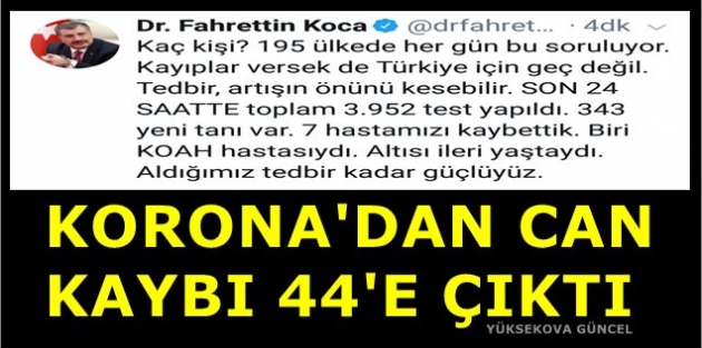 Türkiye'de Korona'da Can Kaybı 44 Oldu