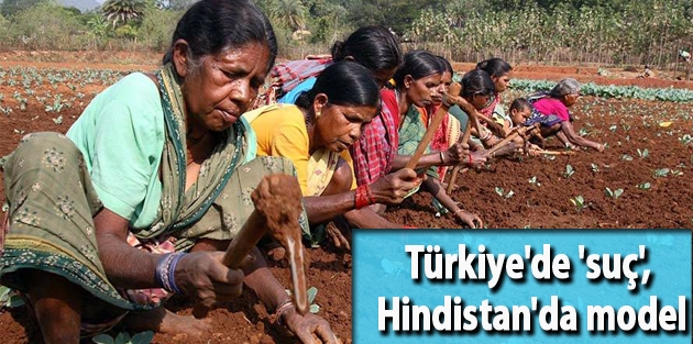 Türkiye'de 'suç', Hindistan'da model