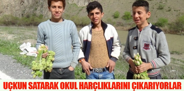 Uçkun Satarak Okul Harçlıklarını Çıkarıyorlar