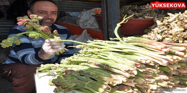 Uçkun Tezgahlardaki Yerini Aldı