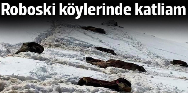 Uludere'de köylülerin katırları itlaf edildi