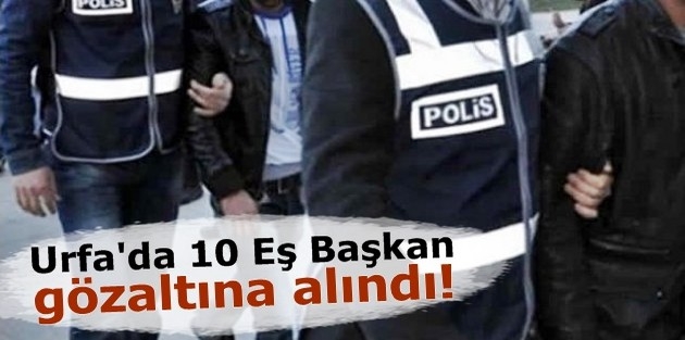 Urfa'da 10 Eş Başkan gözaltına alındı!