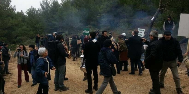 Urla'da halk tepkisi, ağaç katliamını şimdilik durdurdu