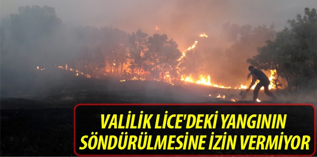 Valilik Lice'deki yangının söndürülmesine izin vermiyor