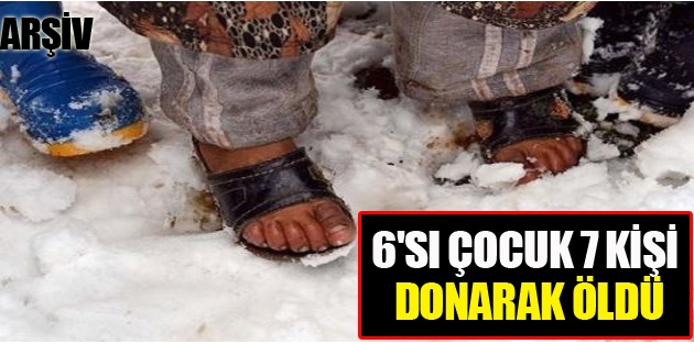 Van'da 7 kişi donarak öldü