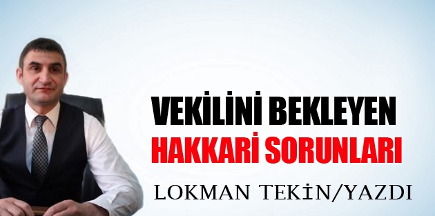 Vekilini Bekleyen Hakkari Sorunları