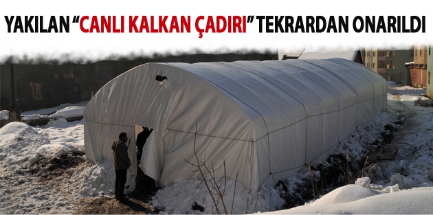 Yakılan Canlı Kalkan Çadırı Tekrardan Onarıldı