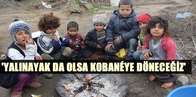 'Yalınayak da olsa Kobanéye döneceğiz'