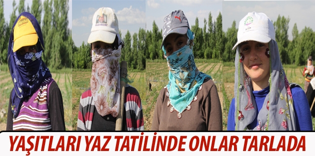 Yaşıtları yaz tatilinde onlar tarlada