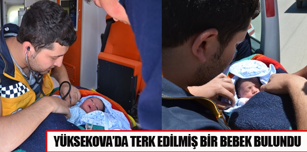 Yol kenarına terk edilmiş bebek bulundu