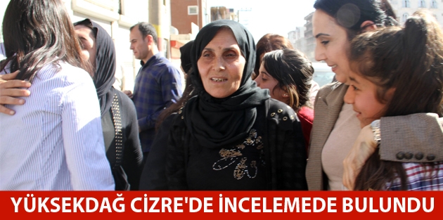 Yüksekdağ Cizre'de incelemede bulundu