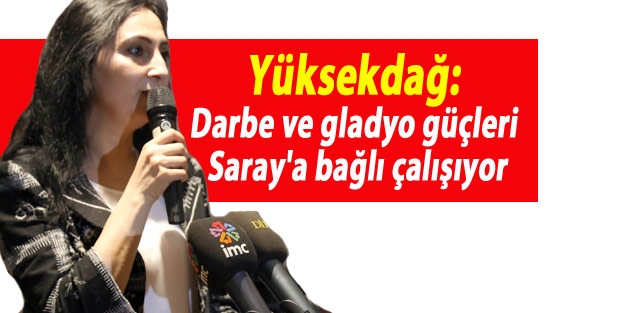 Yüksekdağ: Darbe ve gladyo güçleri Saray'a bağlı çalışıyor