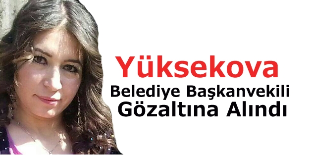 Yüksekova Belediye Başkanvekili Gözaltına Alındı