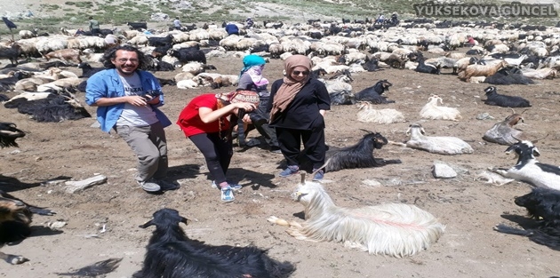 Yüksekova..! Konyalı Çift Merakını Yenmek için Yaylaya Çıktı