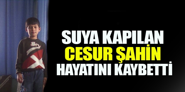 Yüksekova'da 1 kişi Suya Kapıldı