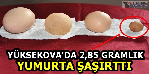 Yüksekova'da 2,85 Gramlık Yumurta Şaşırttı