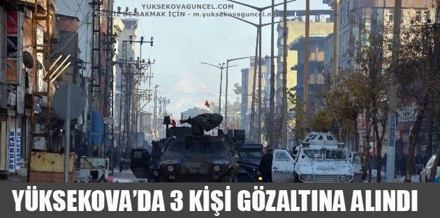 Yüksekova'da 3 kişi gözaltına alındı!