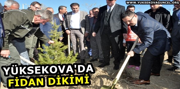 Yüksekova'da fidan dikimi