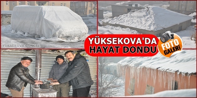 Yüksekova'da hayat dondu