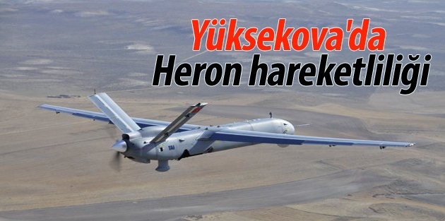 Yüksekova'da Heron hareketliliği