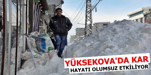 Yüksekova'da kar hayatı Olumsuz Etkiliyor