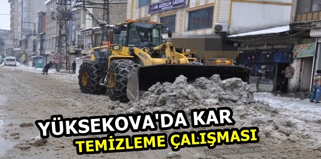 Yüksekova'da Kar Temizleme Çalışması