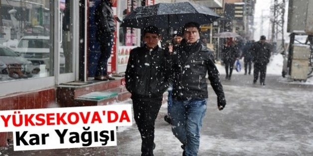 Yüksekova’da Kar Yağışı