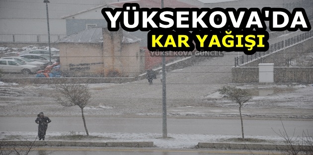 Yüksekova'da Kar Yağışı