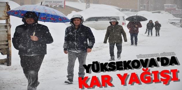 Yüksekova'da kar yağışı