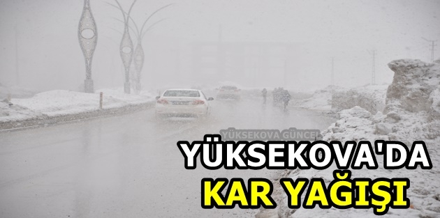 Yüksekova'da Kar Yağışı