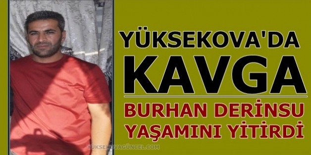 Yüksekova'da kavga: 1 kişi yaşamını yitirdi