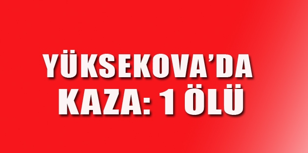 Yüksekova'da kaza: 1 ölü