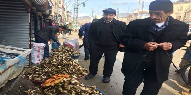 Yüksekova'da kenger tezgahlardaki yerini aldı  