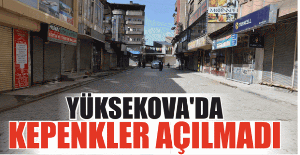 Yüksekova'da kepenkler açılmadı