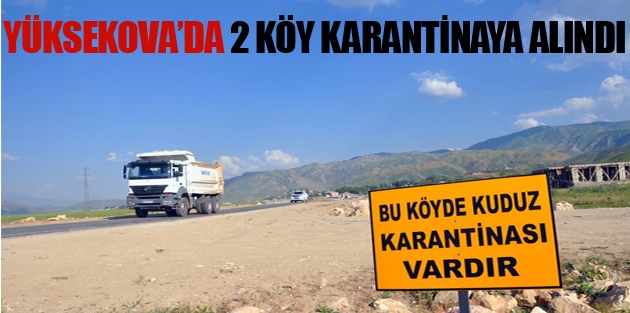 Yüksekova'da Kuduz Vakası