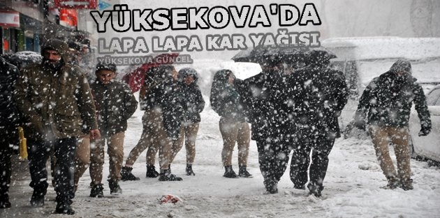 Yüksekova'da lapa lapa kar yağışı