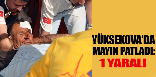 Yüksekova'da Mayın Patladı: 1 Yaralı